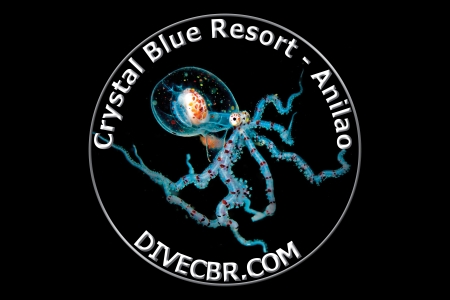 Cover Crystal Blue Resort Diving & Resort