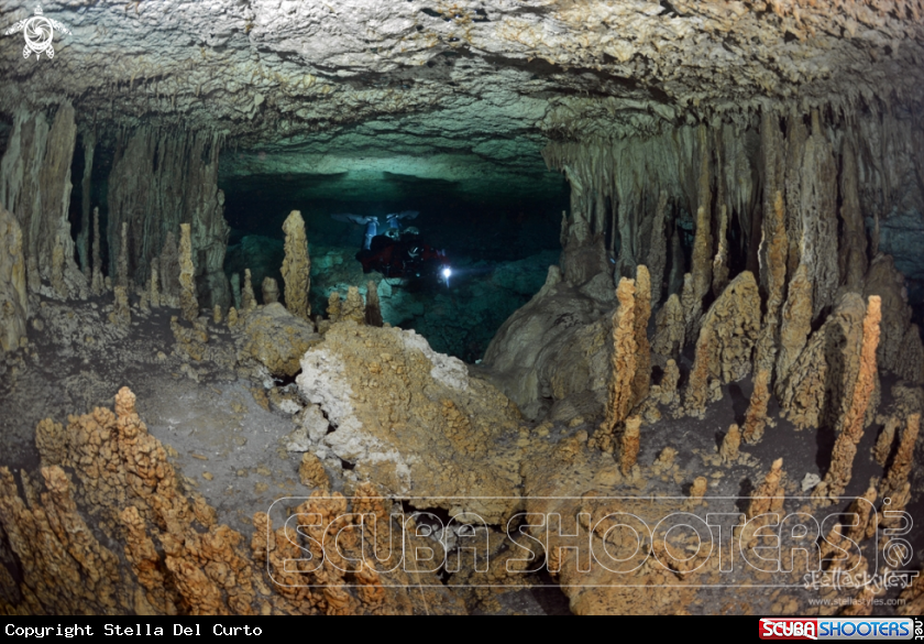 A Speleothems in Car Wash cave, Mexico