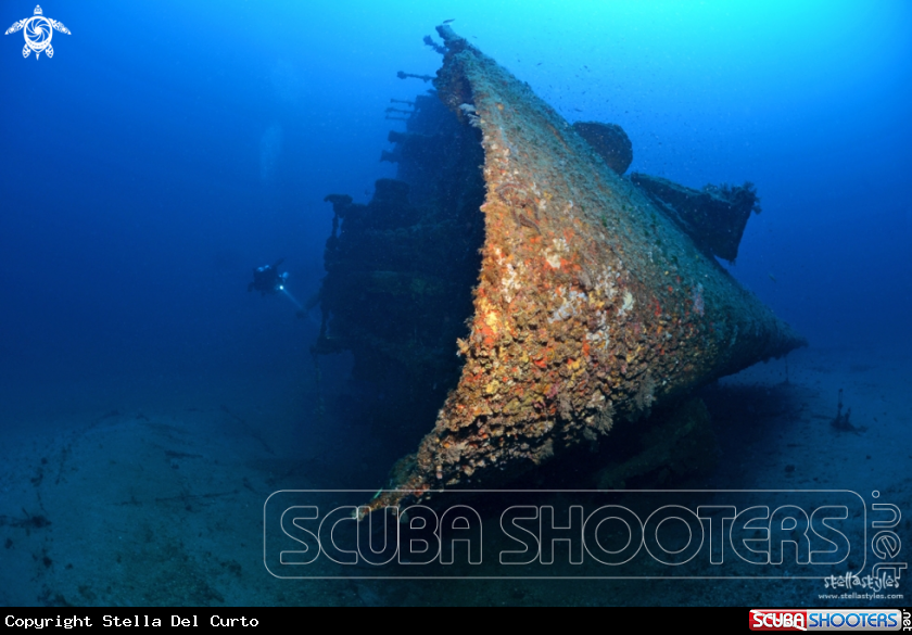 A WWII wreck, lying at 57 meters depth