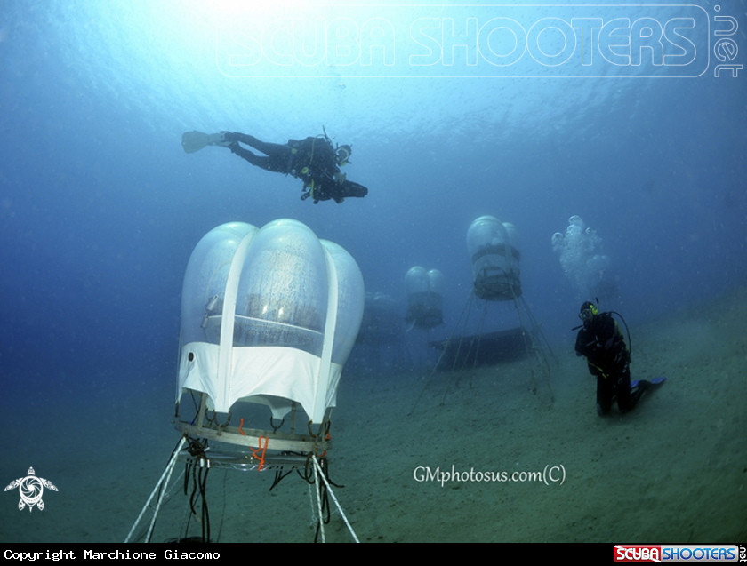 A Biosfere underwater