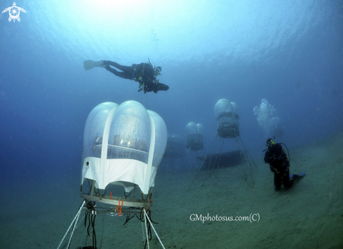 A Biosfere underwater | Biosfere underwater
