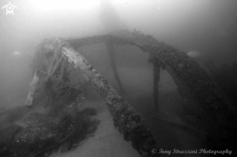 A Paddlewheel on an 1877 wreck
