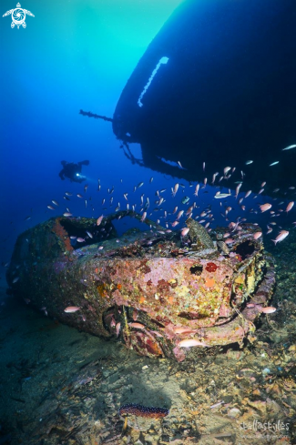 A Ferryboat wreck, lying at 65 meters depth
