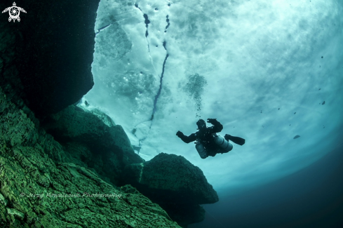A Shore Diving