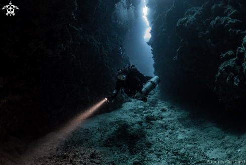 A Full Canyon Dive at 55m 