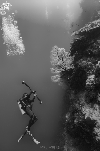 A Underwater Photographer