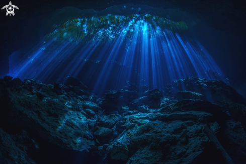 A Underwater