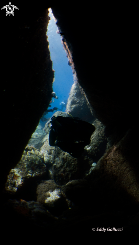 A A tiny cave