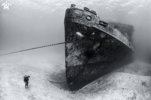A Wreck of the USS Kittiwake
