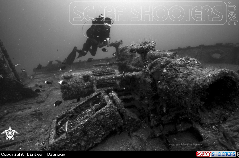 A Silver Star Shipwreck Mauritius