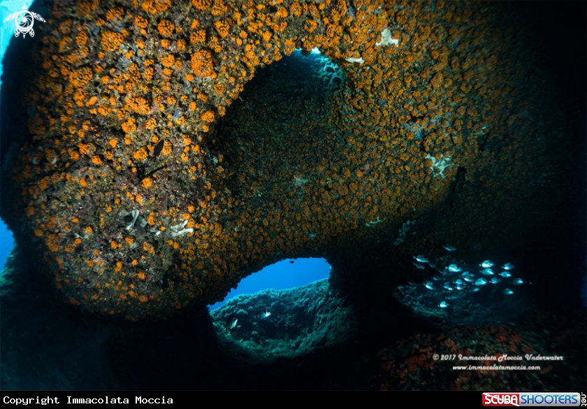 A Grotta dell'Isca - Arco naturale