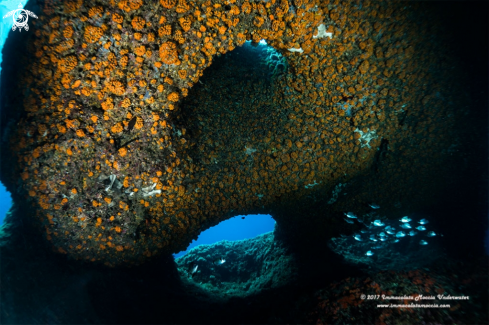 A Grotta dell'Isca - Arco naturale