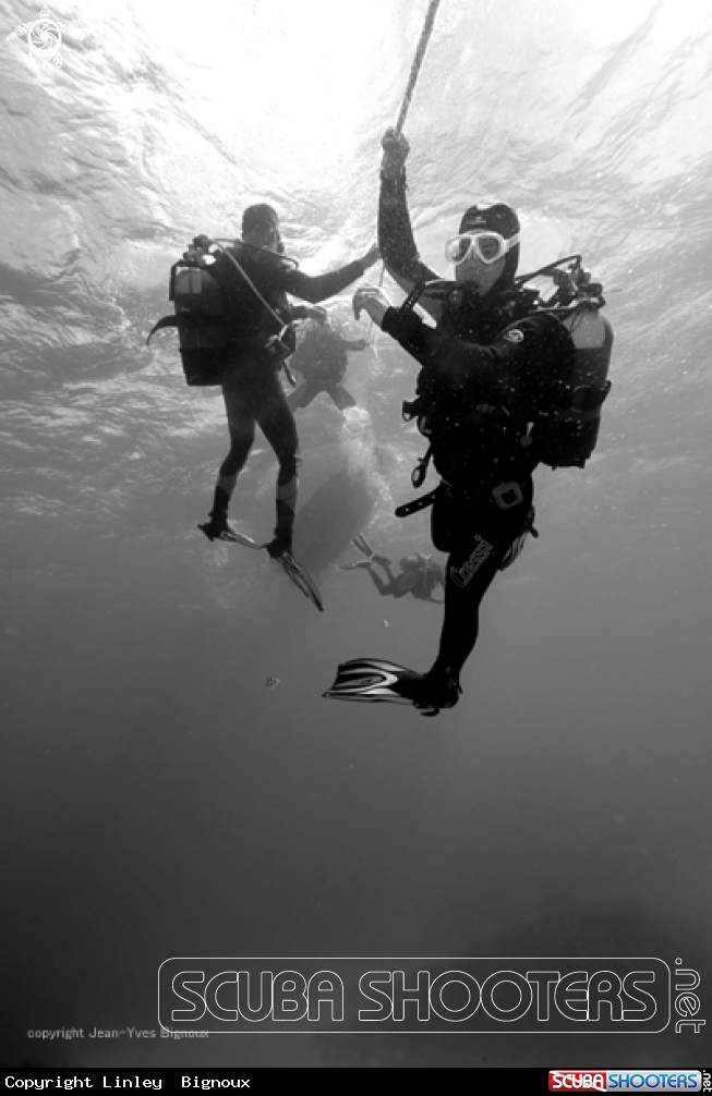A Divers on a deco stop with moderatre currents .Balaclava,Mauritius