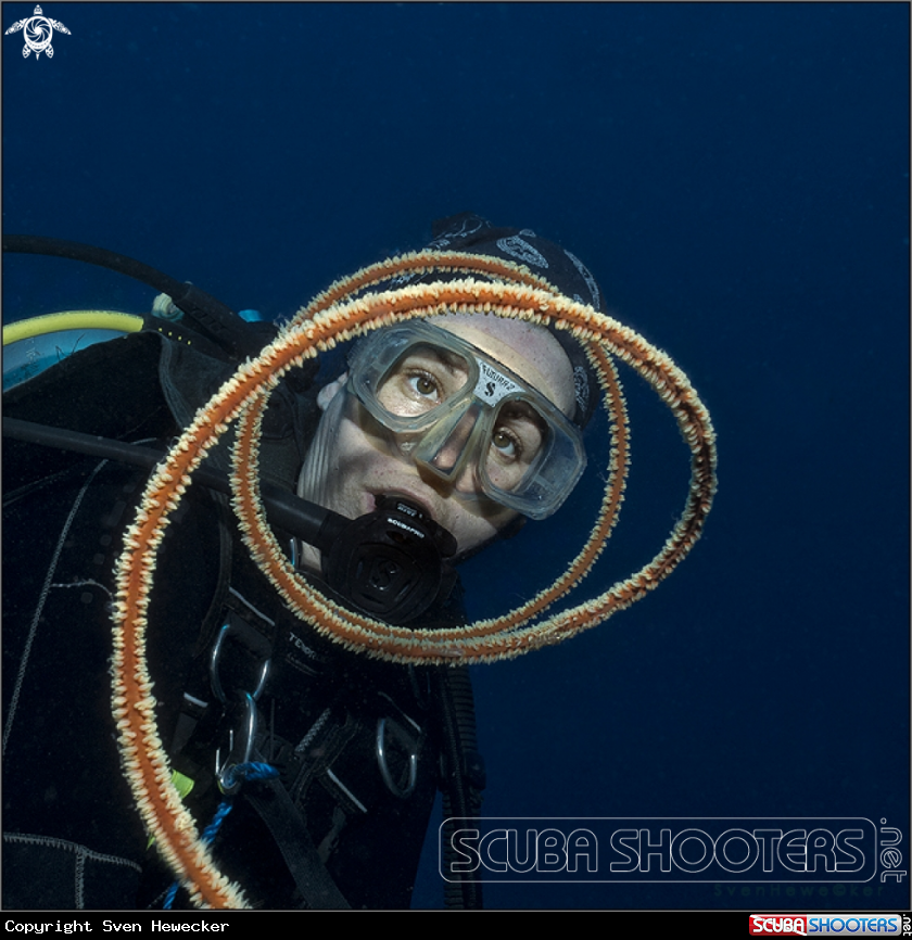 A Diver with brown spiral wire coral