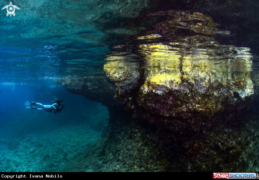 A Croatia Underwater