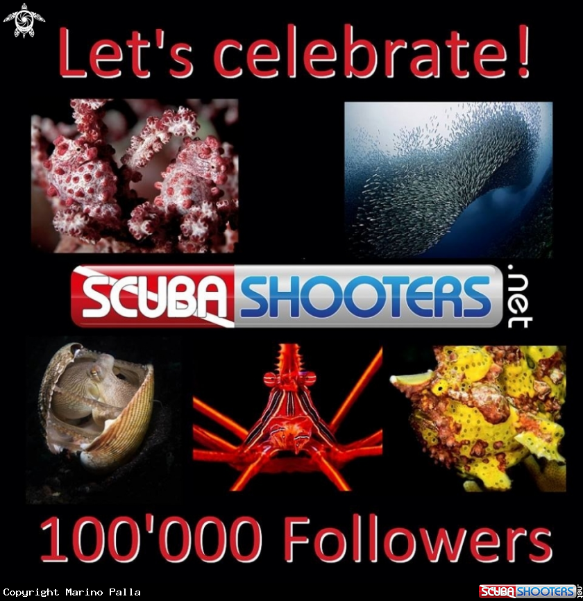 A Scubashooters Fan Page on Facebook