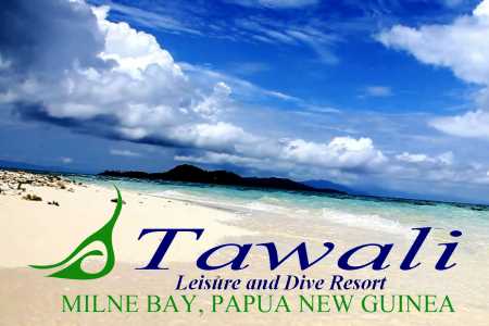 Cover Tawali Resort Diving & resort