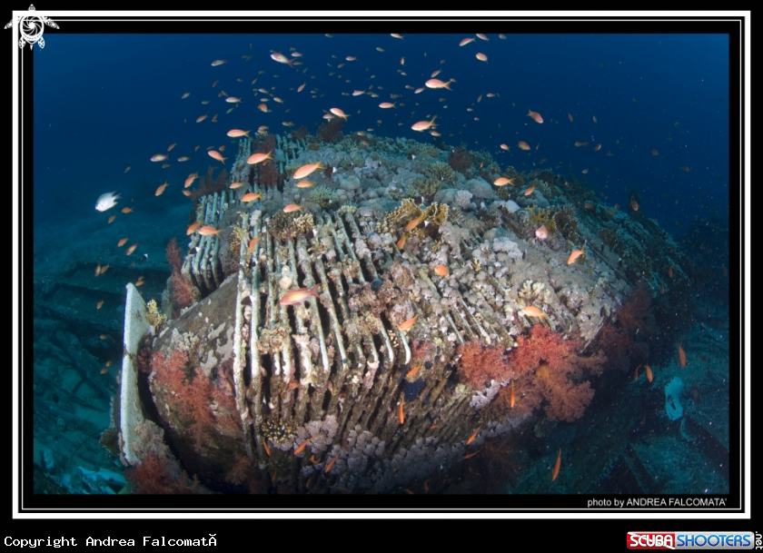 A yolanda wreck