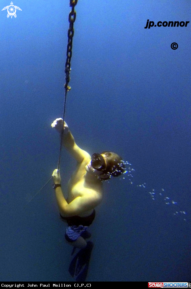 A Freediving