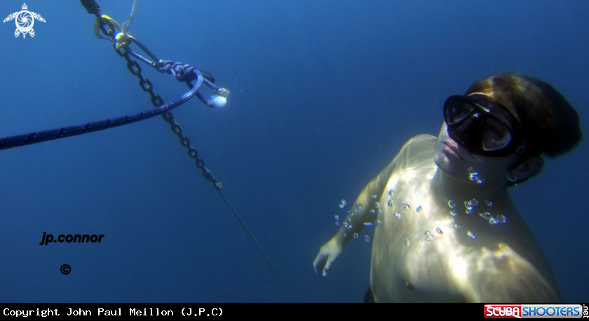 A Freediving
