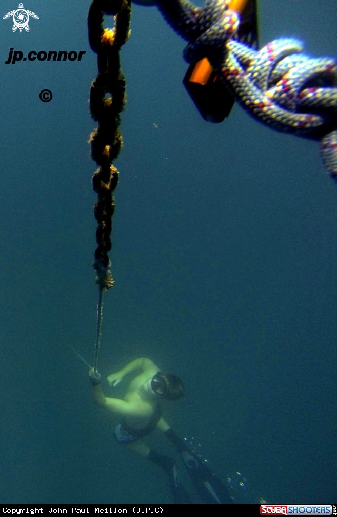 A Freediving