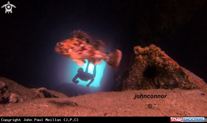 A Freediving Cave