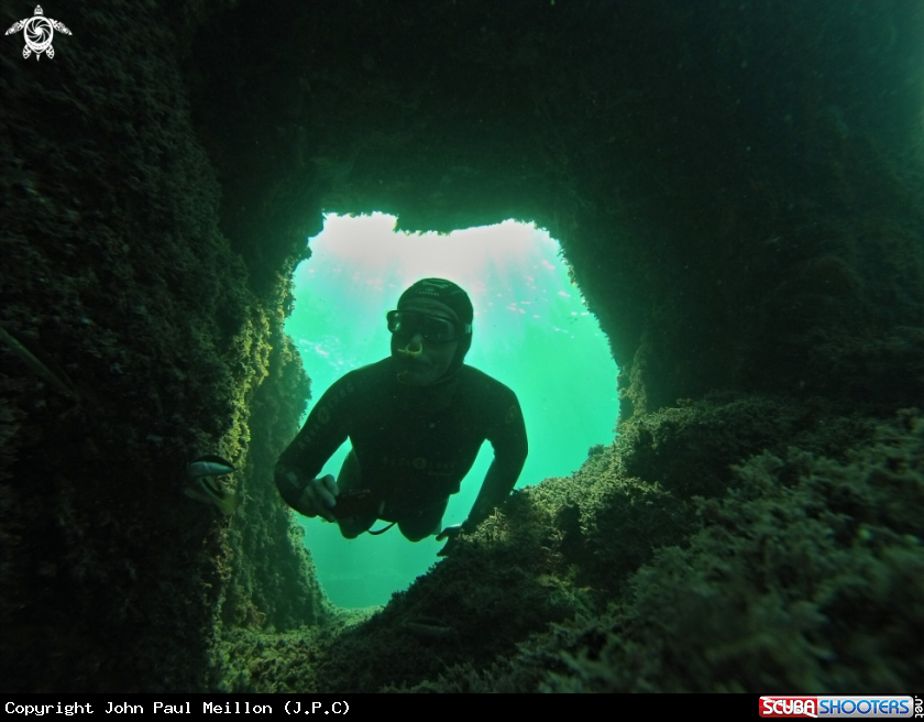 A Freediving Arche
