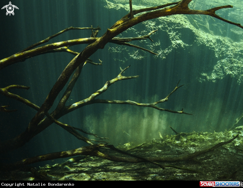 A Cenote Carwash