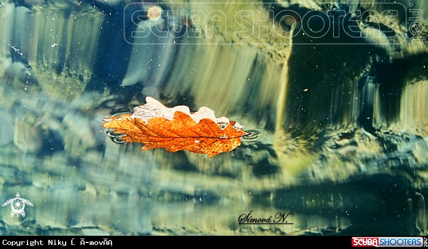 A sheet below the surface