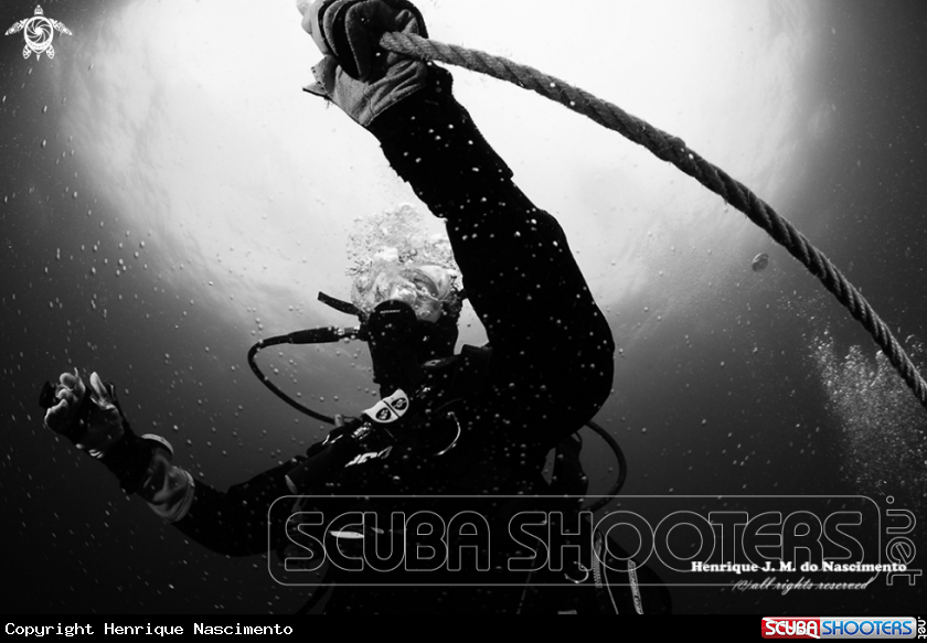 A diving