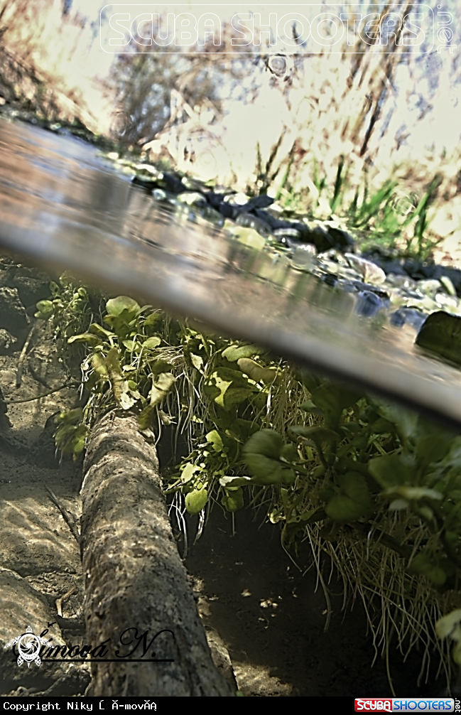 A My testing in a small creek
