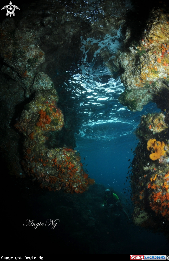 A Divers