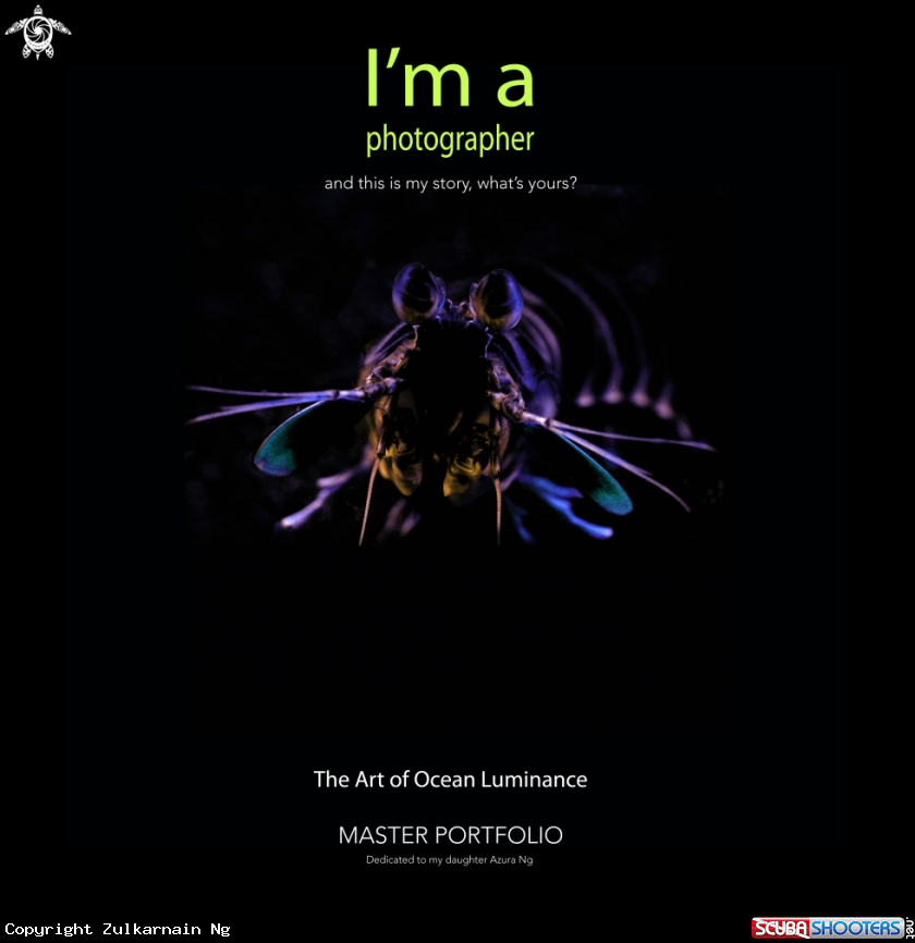 A MANTIS SHRIMP