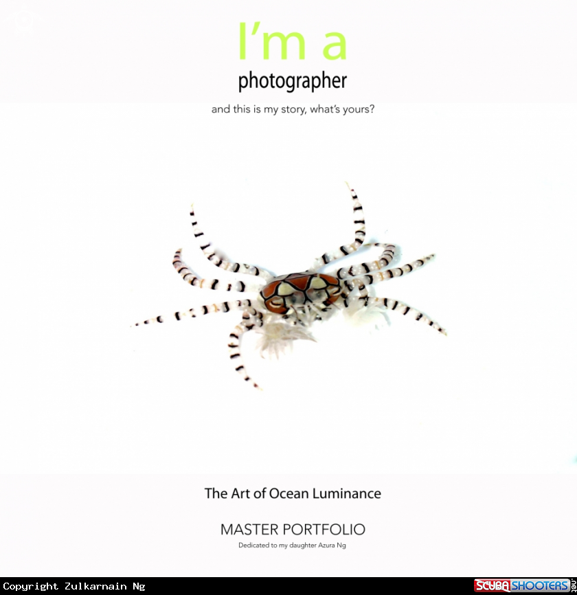 A BOXER CRAB