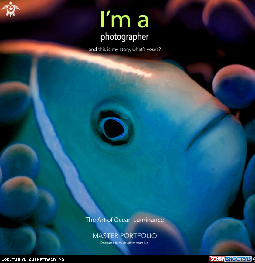 A Fake Clownfish