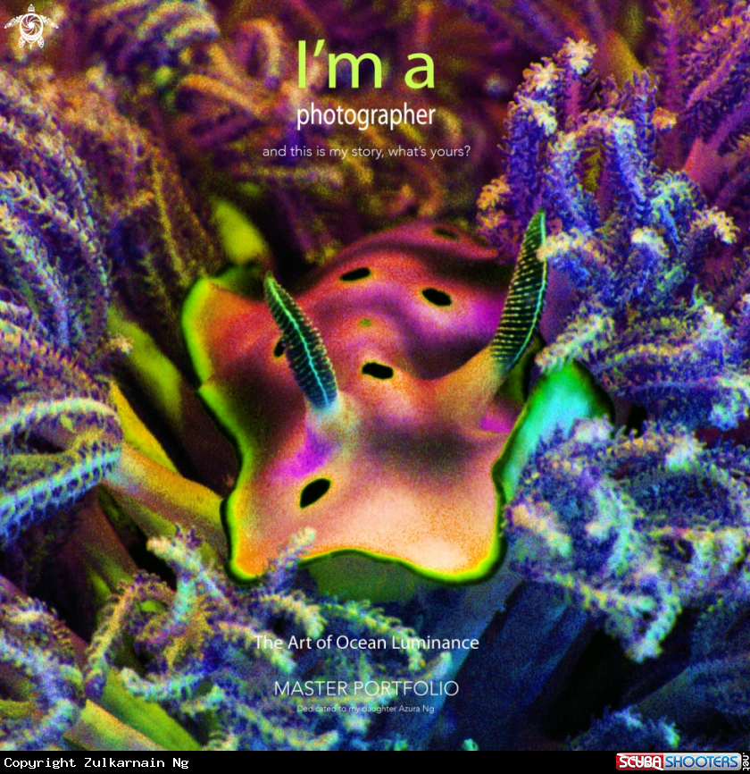A NUDIBRANCH