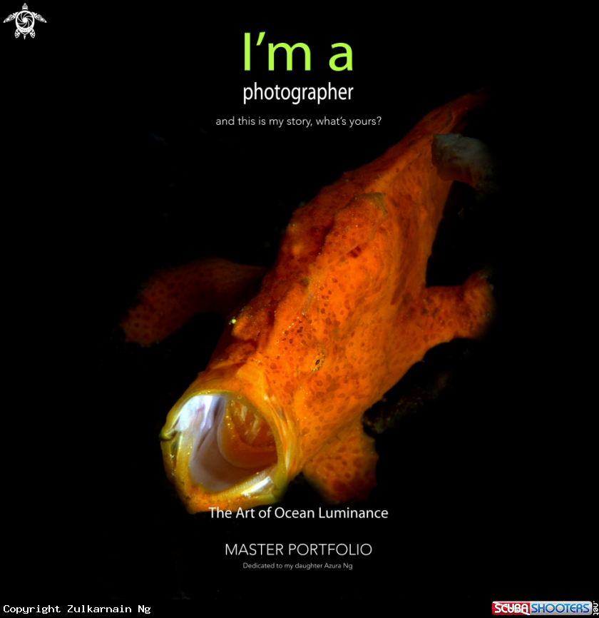 A Frogfish
