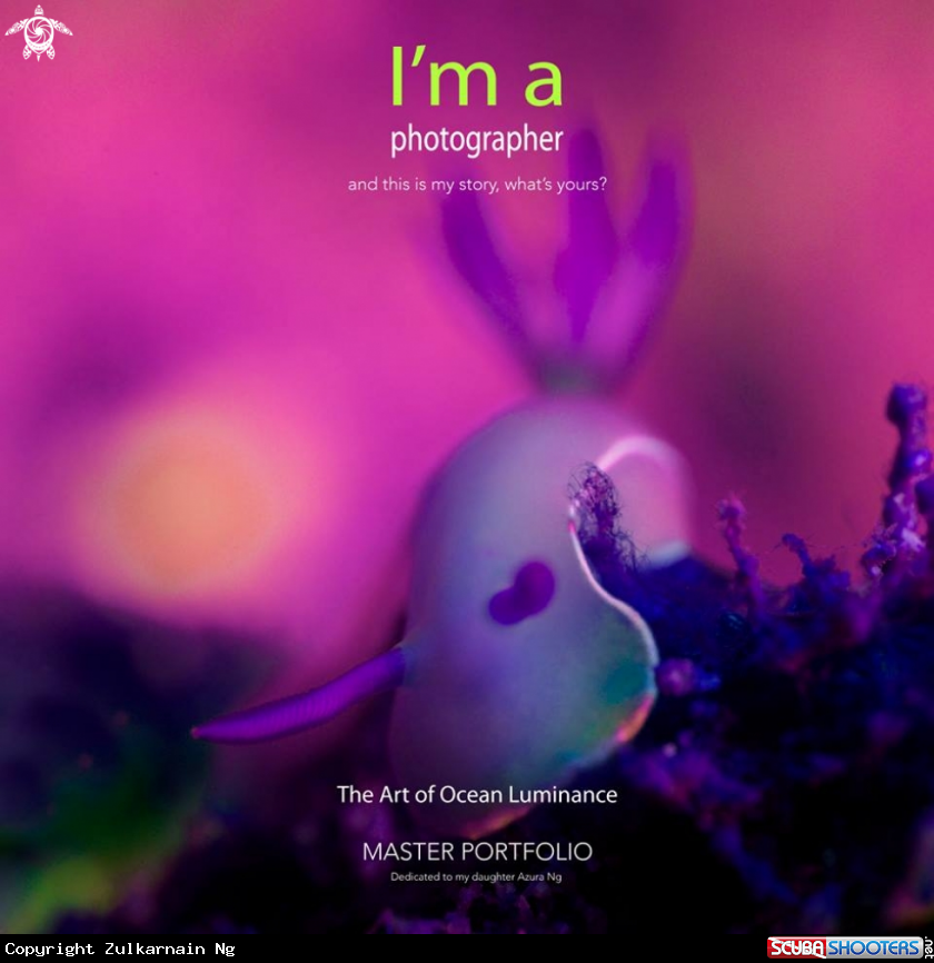 A NUDIBRANCH
