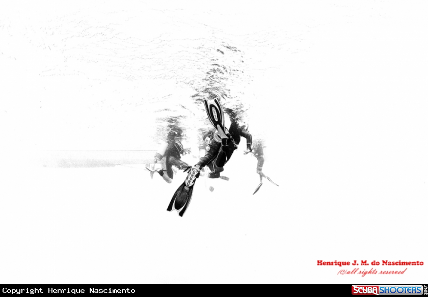 A diver