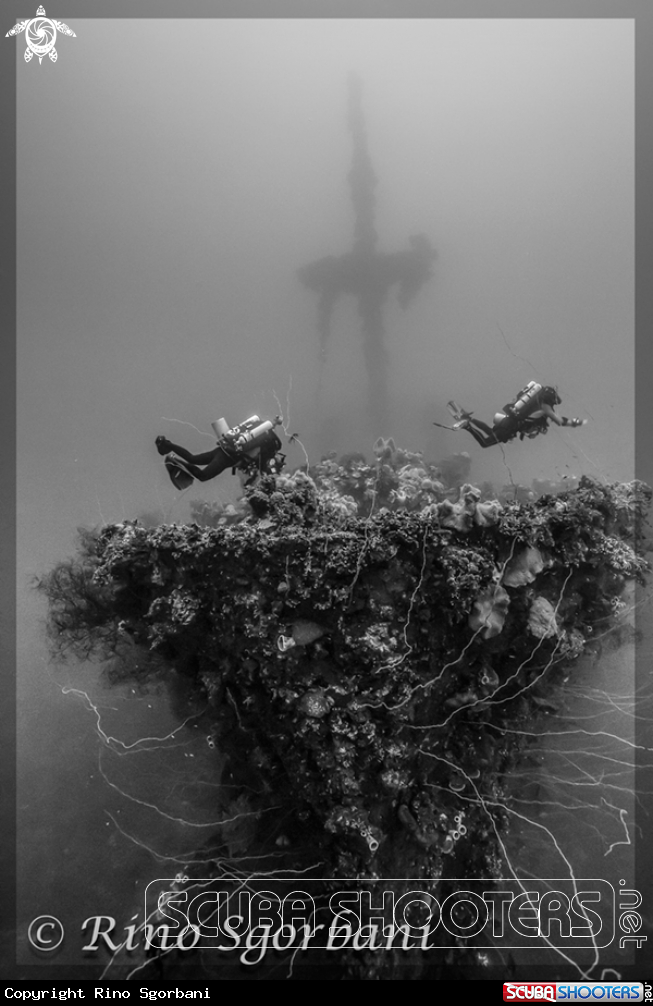 A Seiko Maru Wreck