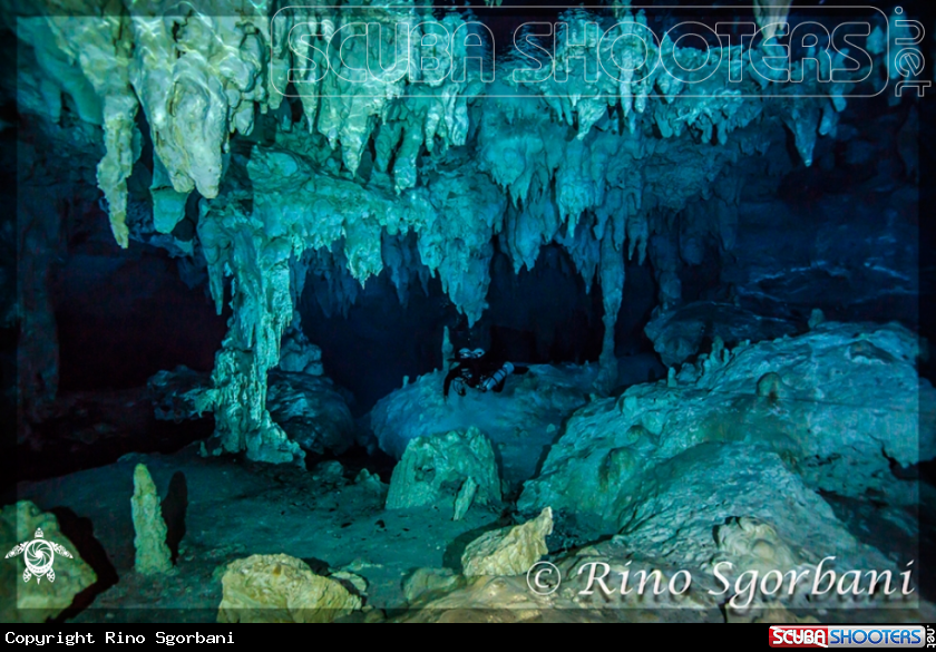 A Cenotes