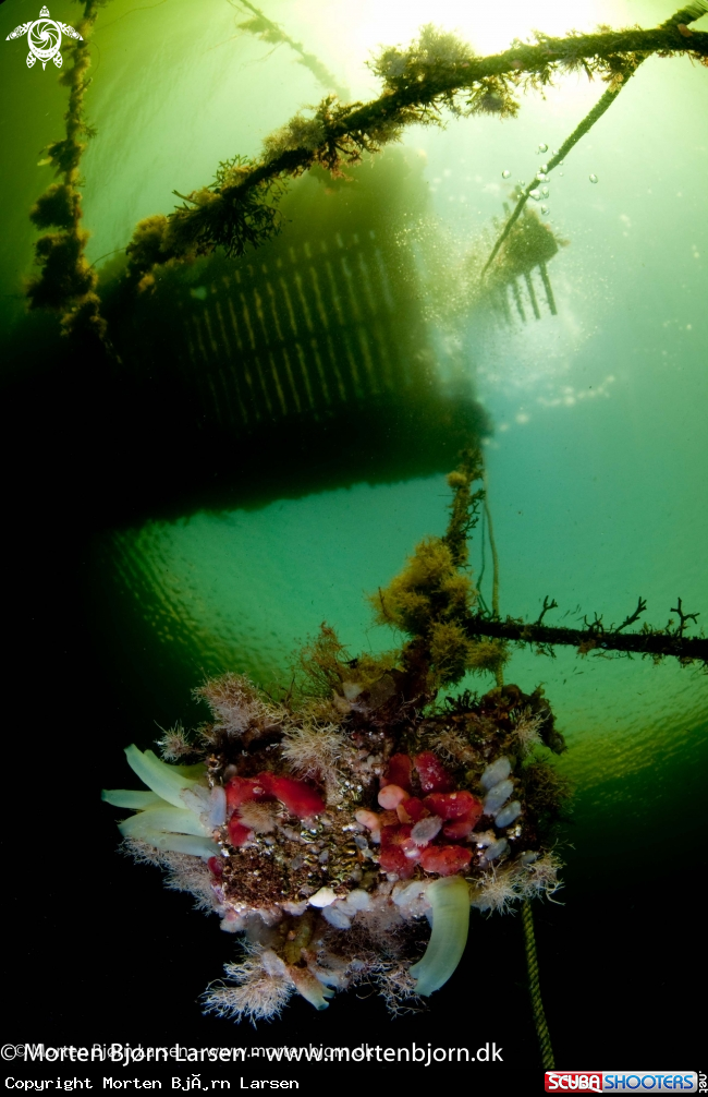 A The Jetty