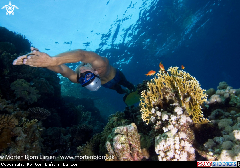 A Freediver