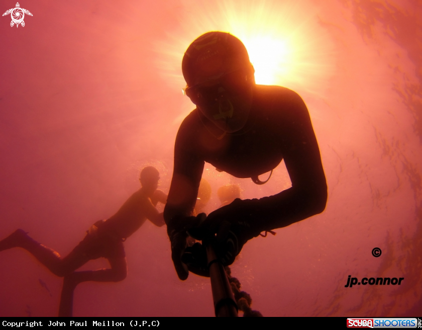 A Freediving