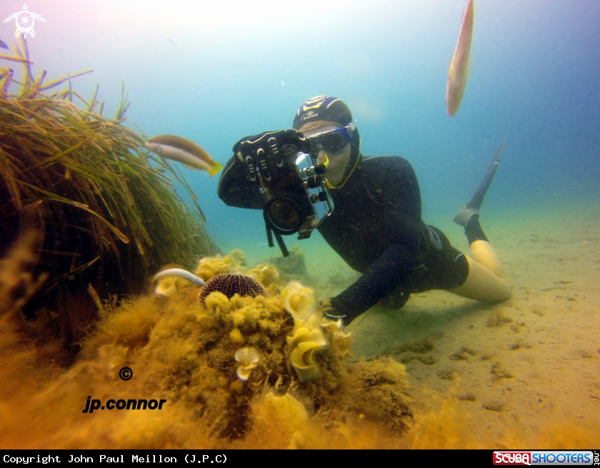 A Freediving