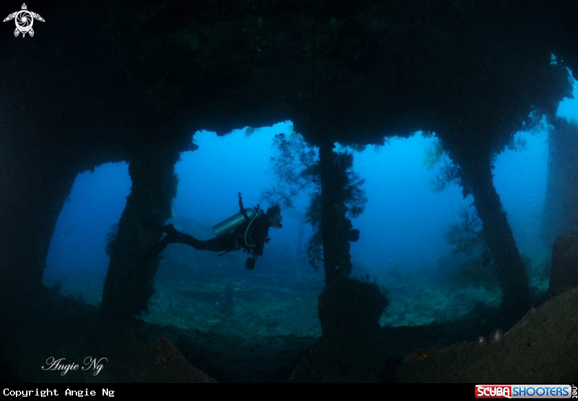 A Divers