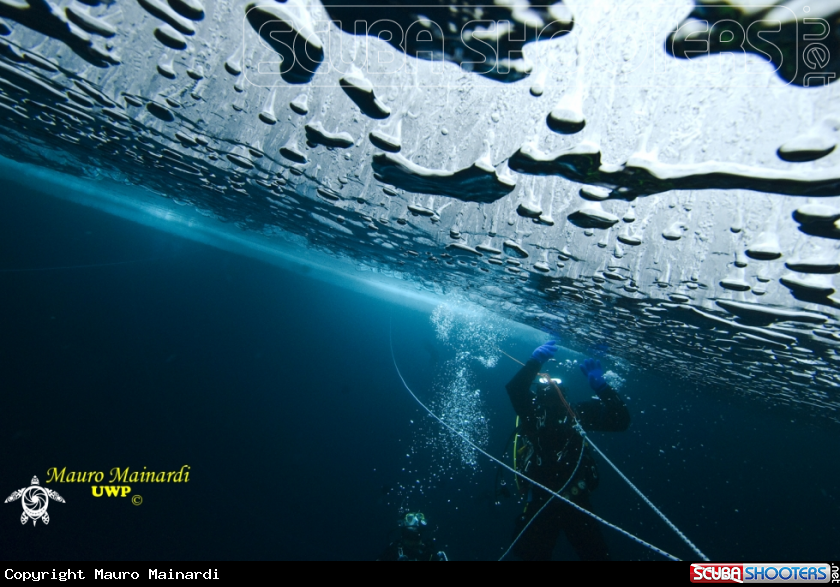 A underwater creature