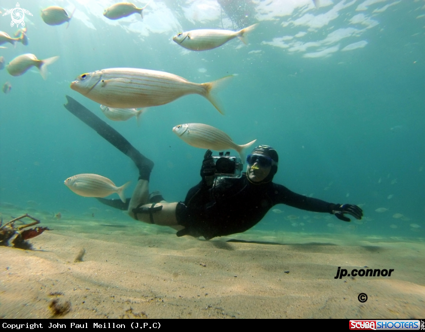 A Freediving