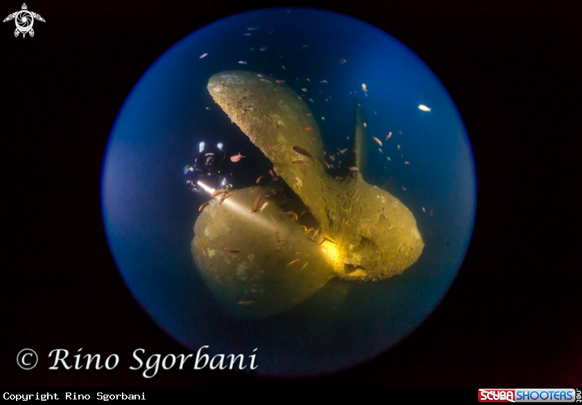 A Propeller