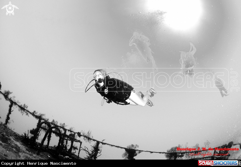 A Just enjoy the beauty of Diving
